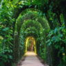 Green Tunnel at Carmen de los Martires Gardens - Granada, Andalusia, Spain