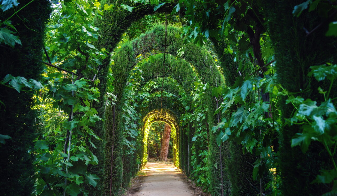 Green Tunnel at Carmen de los Martires Gardens - Granada, Andalusia, Spain